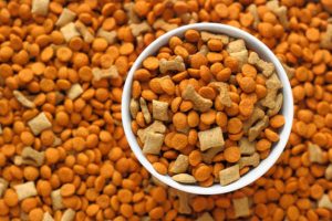 Корм для животных