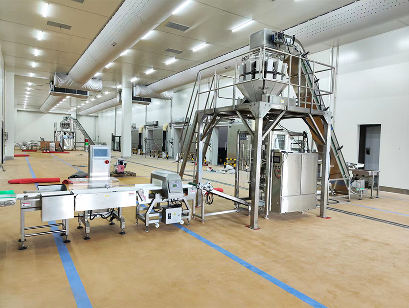 автоматическая упаковочная машина forzen food