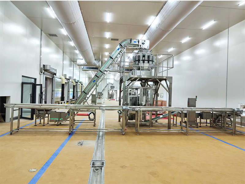 автоматическая упаковочная машина forzen food