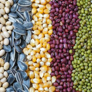 Автоматическая машина для упаковки семян