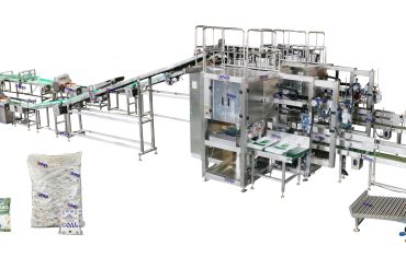 ZLG2P2 Automatic Secondary Packaging Baling Machine for Rice Sugar Salt